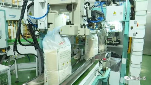 射陽大米首獲省政府農業技術推廣獎，技術創新引領產業升級