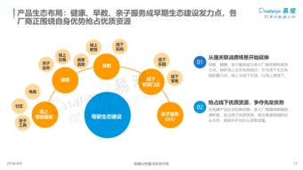 中國(guó)互聯(lián)網(wǎng)母嬰市場(chǎng)年度綜合分析2018