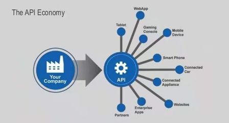 當API成為服務 互聯網數據服務的新范式
